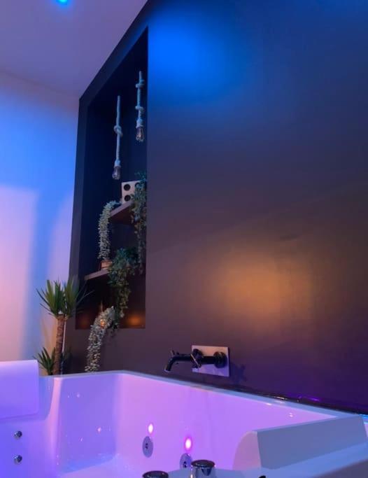 Appartement Spa - Nahleo Industriel Dole Eksteriør billede