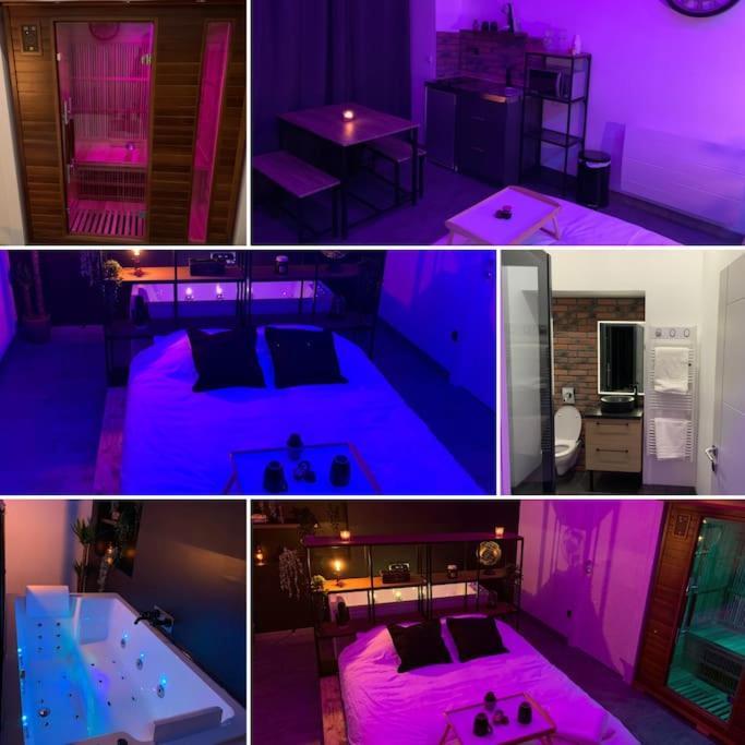 Appartement Spa - Nahleo Industriel Dole Eksteriør billede